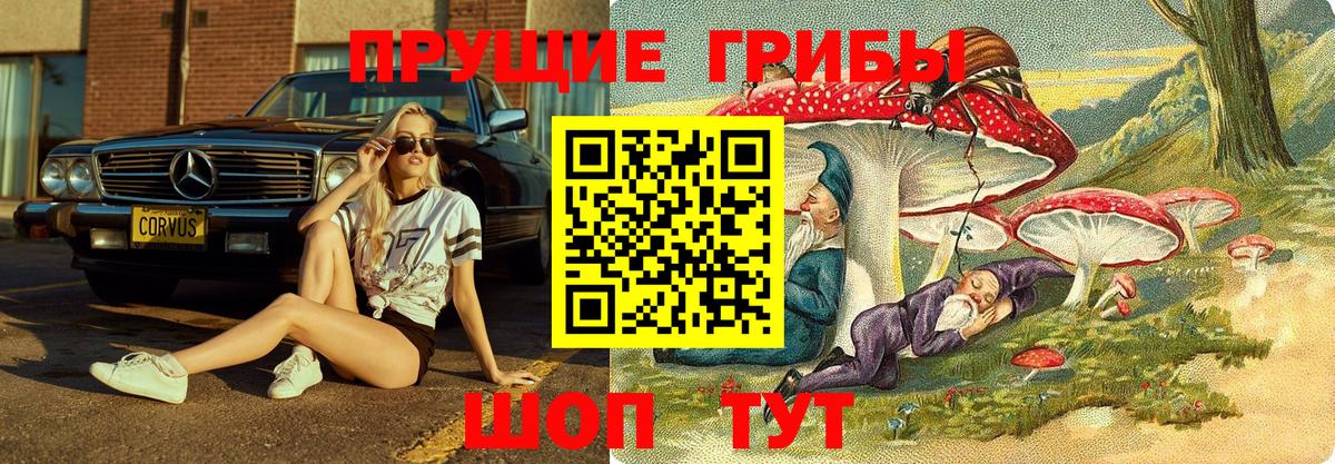 Галлюциногенные грибы MAGIC MUSHROOMS Златоуст