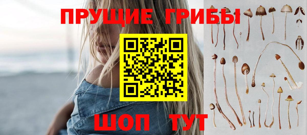 Златоуст  Псилоцибиновые грибы GOLDEN TEACHER  Вход с VPN 